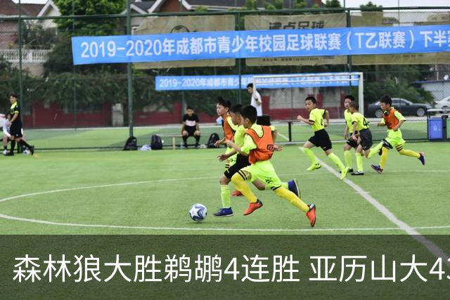 森林狼大胜鹈鹕4连胜 亚历山大43分雷霆克骑士